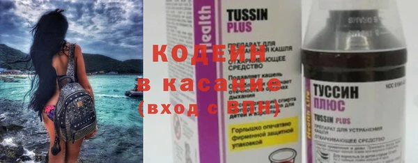 прущие грибы Гвардейск