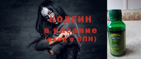 амф Пересвет