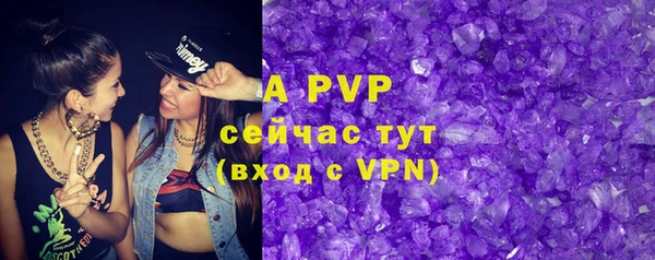 амф Пересвет