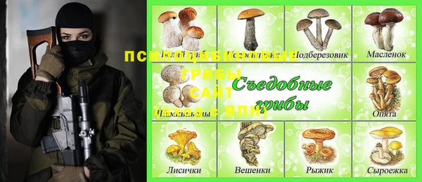 спиды Переславль-Залесский