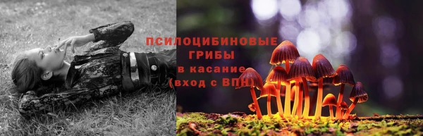 амф Пересвет